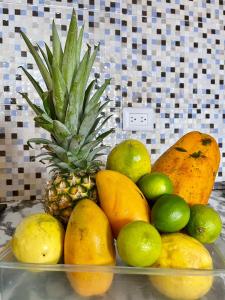 a bowl of fruit on a counter with a pineapple and lemons at Casa Mano Juan in Mano Juan