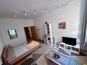 een woonkamer met een bank en een flatscreen-tv bij Piano Apartment in Halle Center - Netflix - Free WiFi 1 in Halle an der Saale
