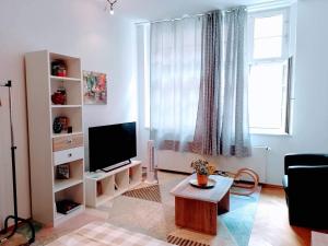 een woonkamer met een groot raam en een televisie bij Piano Apartment in Halle Center - Netflix - Free WiFi 1 in Halle an der Saale