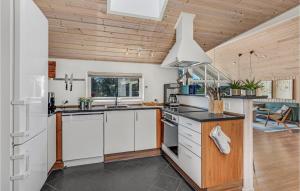 Η κουζίνα ή μικρή κουζίνα στο Holiday Home Redningsstien
