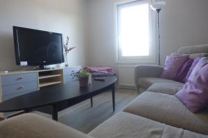 uma sala de estar com um sofá e uma mesa com uma televisão em Views of Isaberg and fitting two families! em Hestra