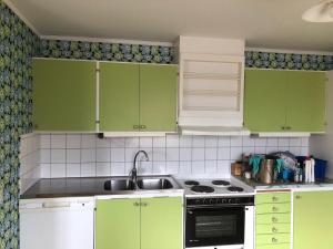 a kitchen with green cabinets and a sink at Anna Gården, App. D in Ytterhogdal