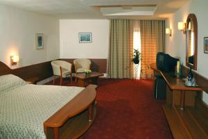 TV a/nebo společenská místnost v ubytování Hotel Irisa