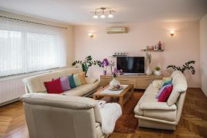 uma sala de estar com dois sofás e uma televisão em Luxury Apartment Leonarda on the river Vrljika em Imotski