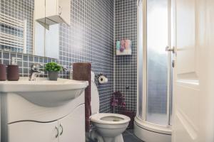 a blue tiled bathroom with a toilet and a sink at Luxury Apartment Leonarda on the river Vrljika in Imotski +41 photos
