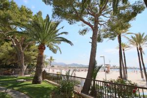 vista sulla spiaggia e sulle palme di Elena Playa Sol a Alcudia
