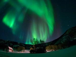an image of the aurora borealis in the sky at Unique and charming holiday home with fantastic sea views in Tromsø