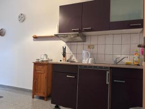 Kuchyň nebo kuchyňský kout v ubytování Piano Apartment Halle Center - Netflix - Free WiFi 2
