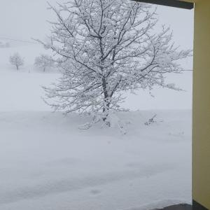 Greimblick v zimě