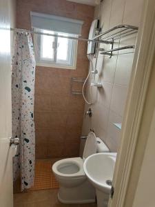 Baño pequeño con aseo y lavamanos en 4 Bedroom Bungalow, Angeles City en Ángeles