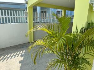 a couple of plants in front of a house at 4 Bedroom Bungalow, Angeles City in Angeles