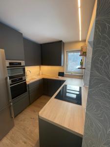 a kitchen with black cabinets and a sink and a window at The Coffee Jacket Apartment in Chemnitz +10 photos