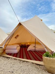 米茨佩·拉蒙的住宿－KARMEI NEGEV - מתחם גלמפינג ואטרקציות מבית גלובל גלמפינג，帐篷,配有两张床和两盆植物