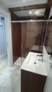 a bathroom with a sink and a shower at vivienda turística los Robles in Tudela