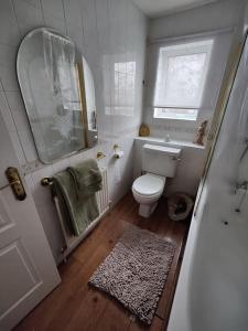 a small bathroom with a toilet and a window at Stunning 1 bedroom apartment over looking river in Rye