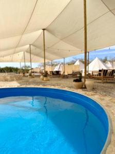 米茨佩·拉蒙的住宿－KARMEI NEGEV - מתחם גלמפינג ואטרקציות מבית גלובל גלמפינג，一个带白色遮阳伞的大型蓝色游泳池