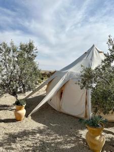 une tente dans un champ avec deux vases dans l'établissement KARMEI NEGEV - מתחם גלמפינג ואטרקציות מבית גלובל גלמפינג, à Mitzpe Ramon