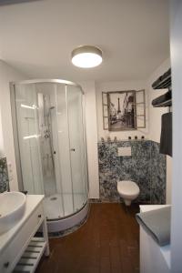 uma casa de banho com um chuveiro, um WC e um lavatório. em Mill Valley Appart em Koblenz