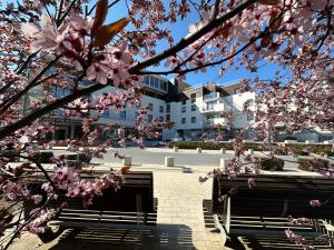 ブワディスワボボにあるApartament Elieの建物前のピンクの花の木