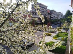 Zahrada ubytování Olympia