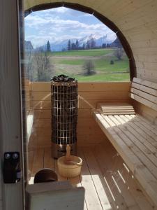 uma vista interior de uma sauna com uma guitarra em Willa Góralski Styl em Bukowina Tatrzańska