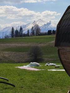 uitzicht op een veld met bergen op de achtergrond bij Willa Góralski Styl in Bukowina Tatrzańska