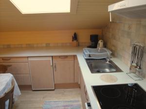 Kuchyň nebo kuchyňský kout v ubytování Pension & Appartement Steinwender