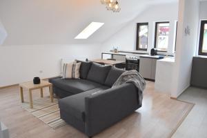 ein Wohnzimmer mit einem Sofa und einer Küche in der Unterkunft Cosy&Minimalistic Apartments - Haret Building in Sinaia