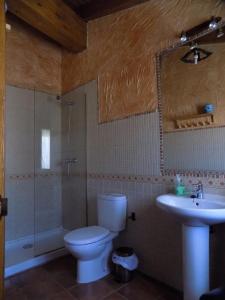 Santa María de RiazaにあるCASAS RURALES LAS ERAS 1 Y 2のバスルーム(トイレ、洗面台付)