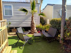 palma na dziedzińcu z krzesłami i stołem w obiekcie Mobil-home Les Locs Danous w mieście Valras-Plage