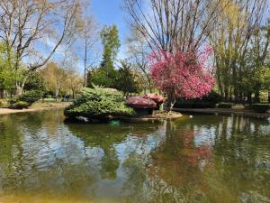 un estanque en un parque con árboles y flores rosas en Moderno Apartamento Cerca del centro en León en León