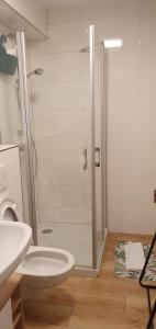 a bathroom with a shower with a toilet and a sink at Ferienwohnung-Vogl in Viechtach