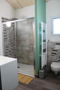 a bathroom with a shower stall and a toilet at Gîte chalet, Au Doubs Logis in Pierrefontaine-les-Varans