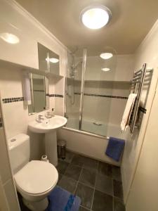 a bathroom with a toilet and a sink and a shower at Bellfield Country Suites in Masham