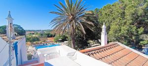 - une vue sur un palmier depuis le toit d'une maison dans l'établissement Quinta do Lagar, à Albufeira