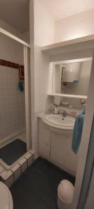 Kúpeľňa v ubytovaní Super T2 joli balcon centre port du Cap d'Agde