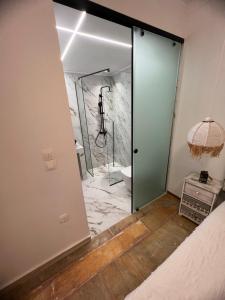 a bathroom with a shower and a glass door at Sarwnisland in Lagonissi