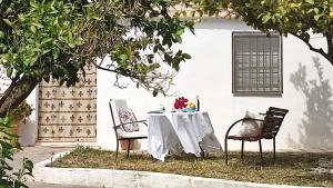 A garden outside Cortijo AguaChá