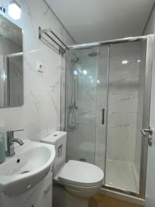 een badkamer met een douche, een toilet en een wastafel bij Estúdio Albergaria in Albergaria-a-Velha
