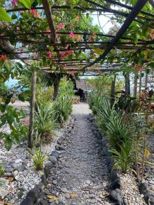 einen Garten mit einem Gehweg mit Blumen und Pflanzen in der Unterkunft Auntie Mina's Beach Cabins in Puerto Princesa
