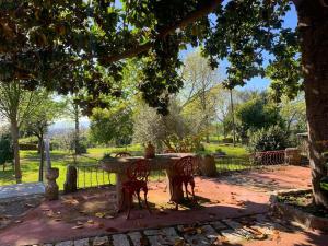 a picnic table in a park under a tree at Casa do Palheiro - Valença in Bade