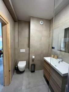 La salle de bains est pourvue de toilettes et d'un lavabo. dans l'établissement Apartament w Dolinie Sanu, à Lesko