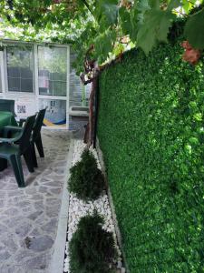 une haie en face d'un bâtiment avec une table et des chaises dans l'établissement Villa Ivanovi, à Ohrid