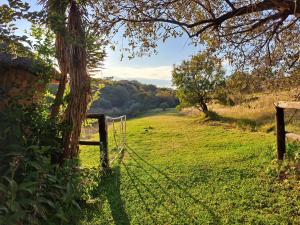 uma cerca num campo ao lado de uma árvore em Stone Meadows Country Estate-NV51 em Magaliesburg
