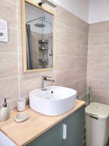 uma casa de banho com um lavatório branco e um espelho. em Chez Mélanie et Rodolphe em La Ciotat