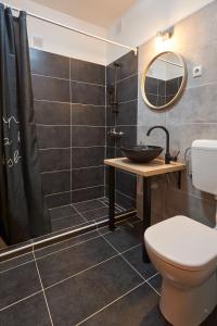 a bathroom with a toilet and a sink and a mirror at Apartment Green in Poreč