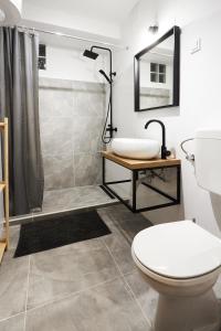 a bathroom with a toilet and a shower and a sink at Apartment Blue in Poreč