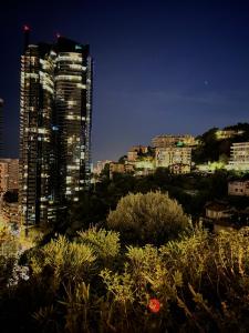 a view of a city at night with tall buildings at Luxueux Studio Neuf - Frontière Monaco - Piscine - Parking privé in Monte Carlo