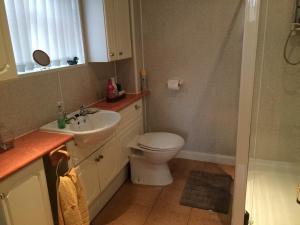a bathroom with a toilet and a sink at Ardgarry Holiday House in Inverness