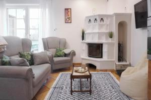 sala de estar con sofá y chimenea en Apartament Cisza, en Rabka
